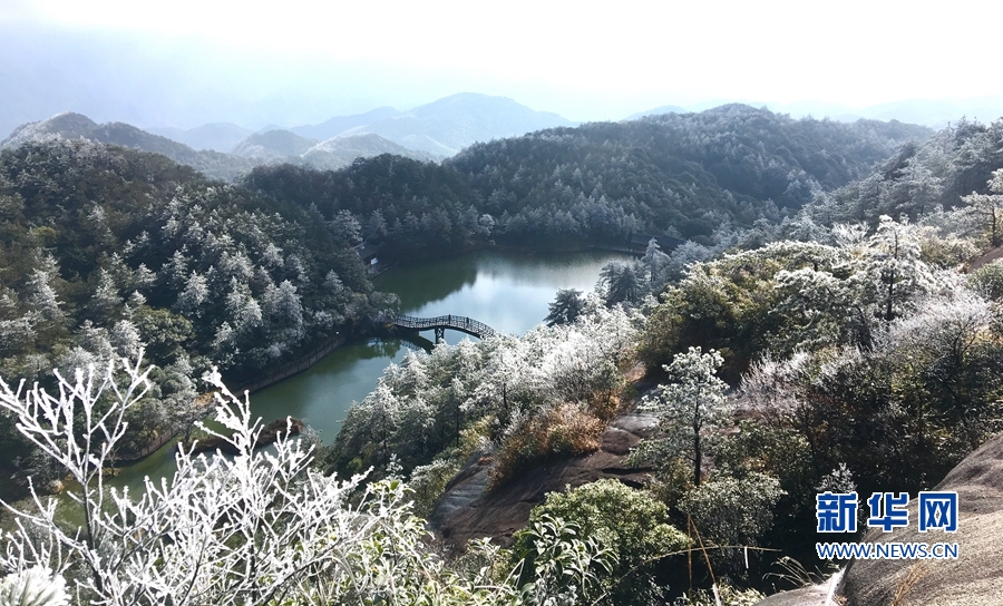 银装素裹如仙境！德化九仙山现雾凇美景