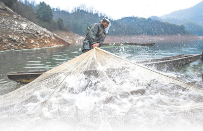 各地“菜篮子” 货足价又稳（新时代画卷）