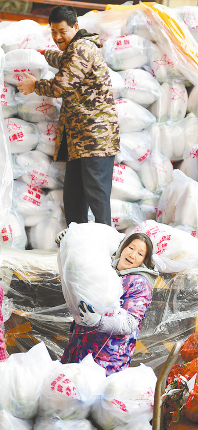 各地“菜篮子” 货足价又稳（新时代画卷）