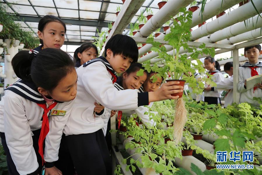 山东滨州：植物生态馆里学知识