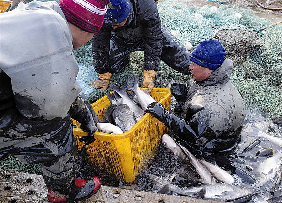 大连大盛水库冬捕忙_fororder_2