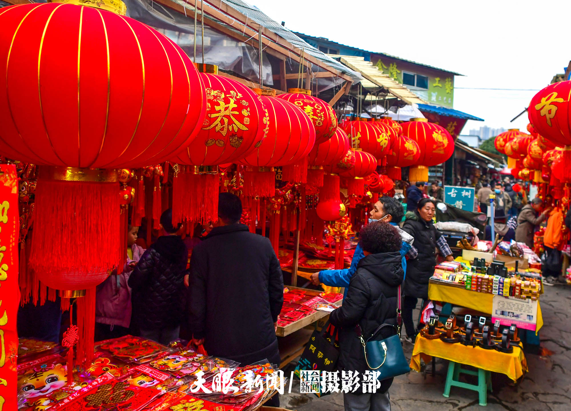 （中首）貴陽：花卉市場春意鬧 姹紫嫣紅迎新年