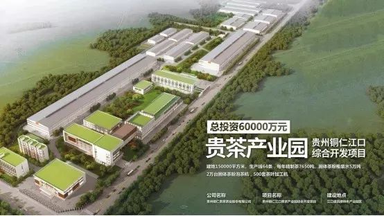 欧标抹茶——“中国文化产业第一展”鲜艳的一抹绿