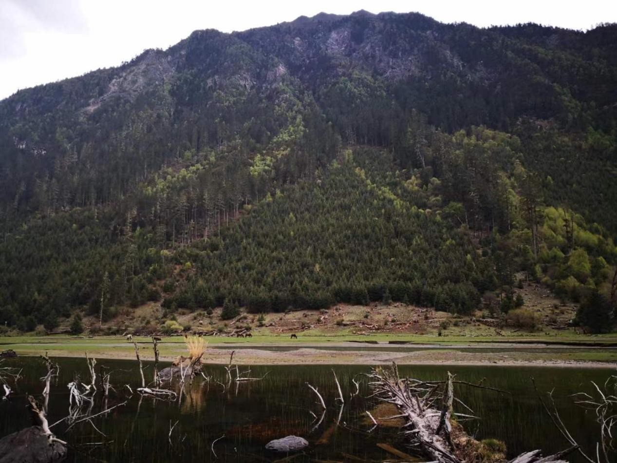 为爱焕新 聚焦58公益×掌上明珠整家改造公益计划第一季