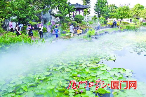 廈門市旅遊市場有序復蘇 市民和遊客預約出行佔比高達70%