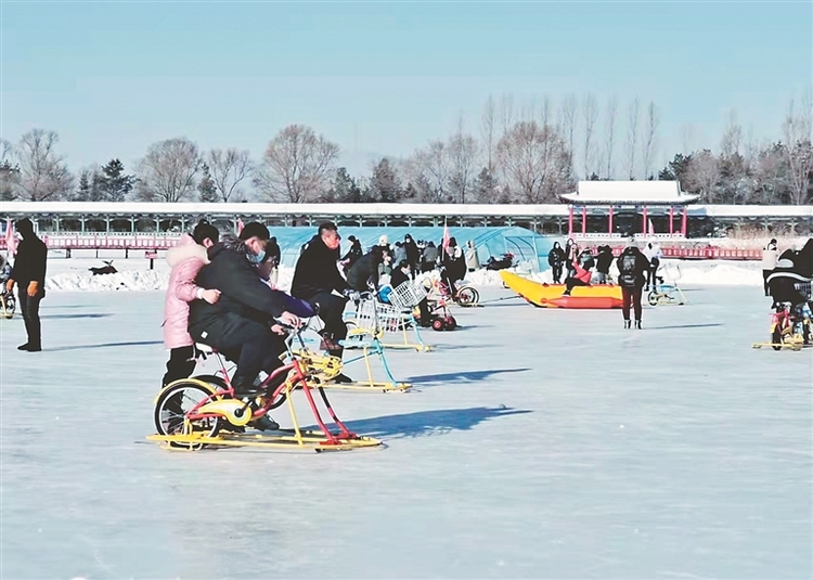 密山：荷香园里享冰情雪趣