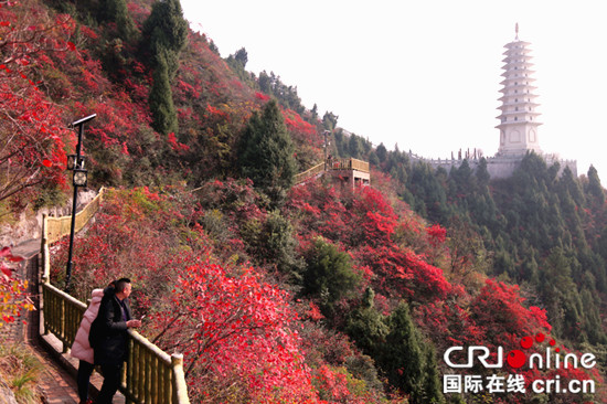 已过审【行游巴渝 图文】重庆巫山县文峰景区通过4A级景区验收