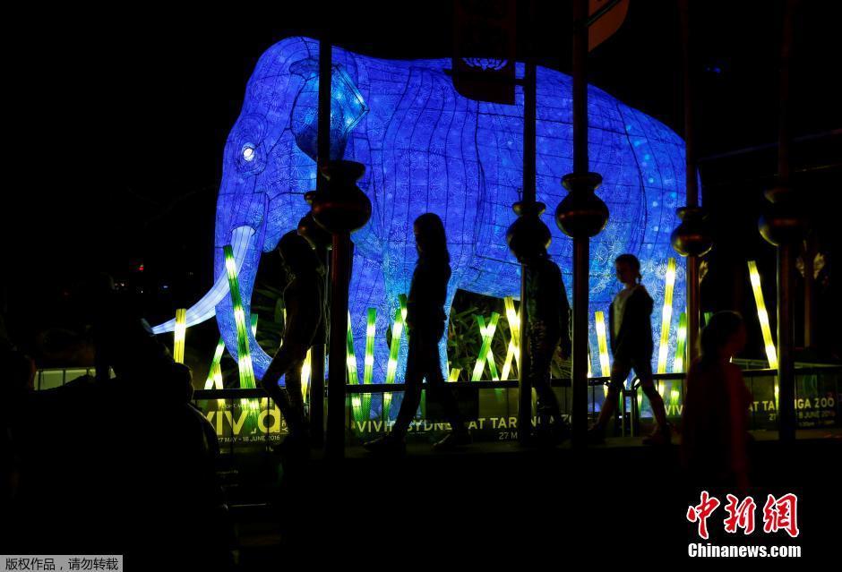 2016活力悉尼灯光节在塔隆加动物园开幕