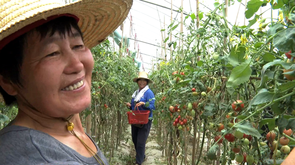 图片默认标题_fororder_1592577714363_954_600x337