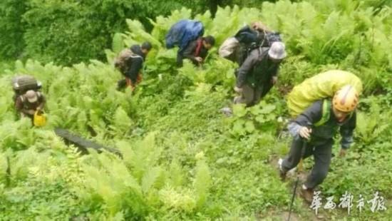 失聯17天后獨闖黑竹溝驢友平安現身 搜救耗資近30萬元