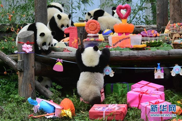 图片默认标题_fororder_CqgNOl06UGaAGfGnAAAAAAAAAAA059.900x600