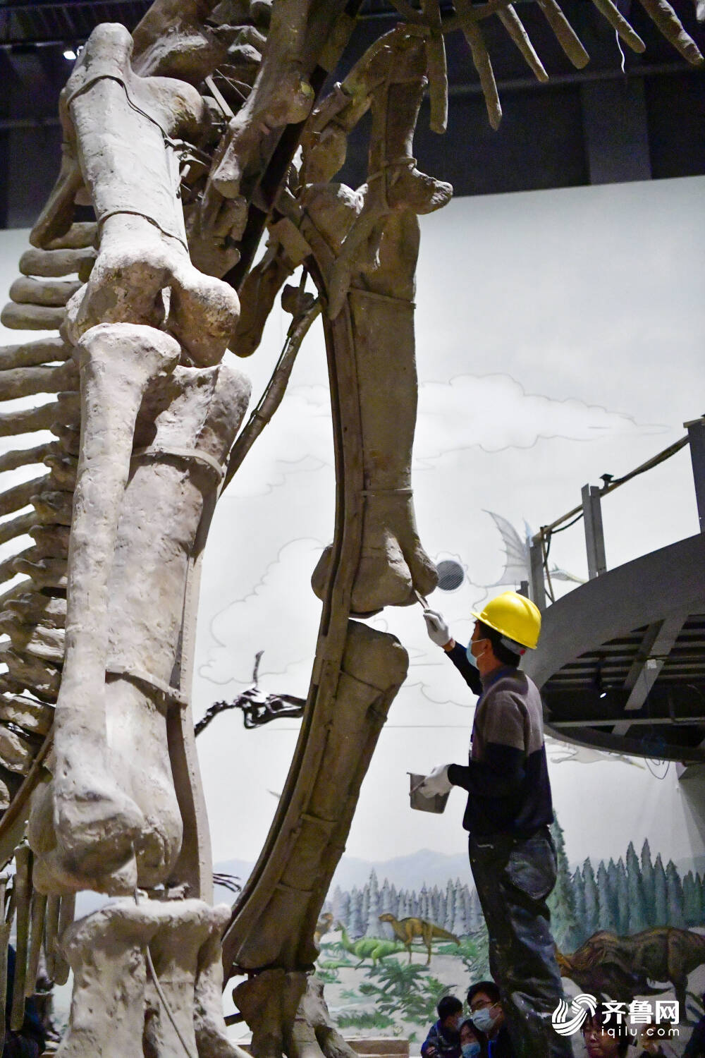 恐龙里的“山东大汉”！巨型山东龙11年后重现省博 山东博物馆两大新展即将上演