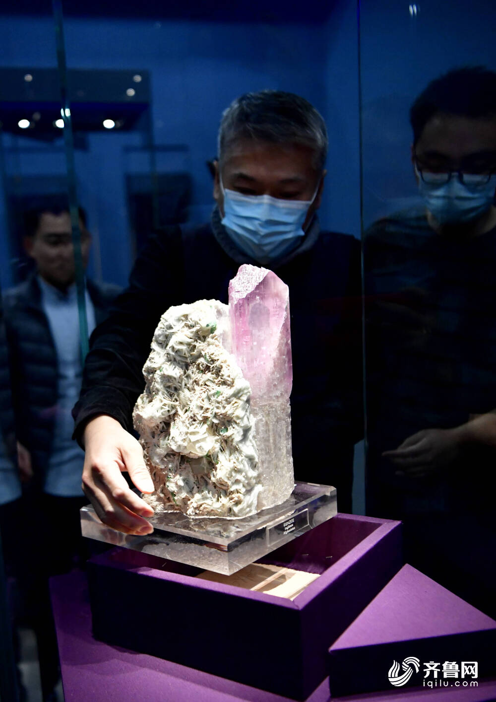 恐龙里的“山东大汉”！巨型山东龙11年后重现省博 山东博物馆两大新展即将上演