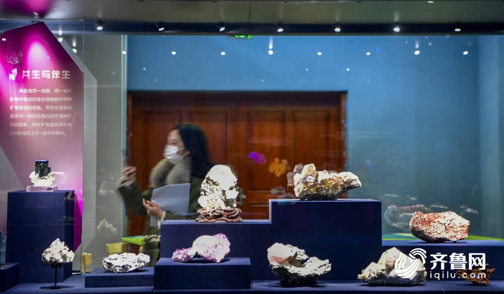 恐龙里的“山东大汉”！巨型山东龙11年后重现省博 山东博物馆两大新展即将上演