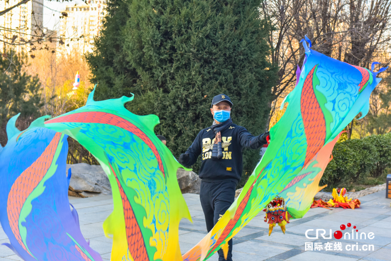 （原创）石家庄市柏林公园：“彩带龙飞”凌空舞 健康运动欢乐多_fororder_图片4