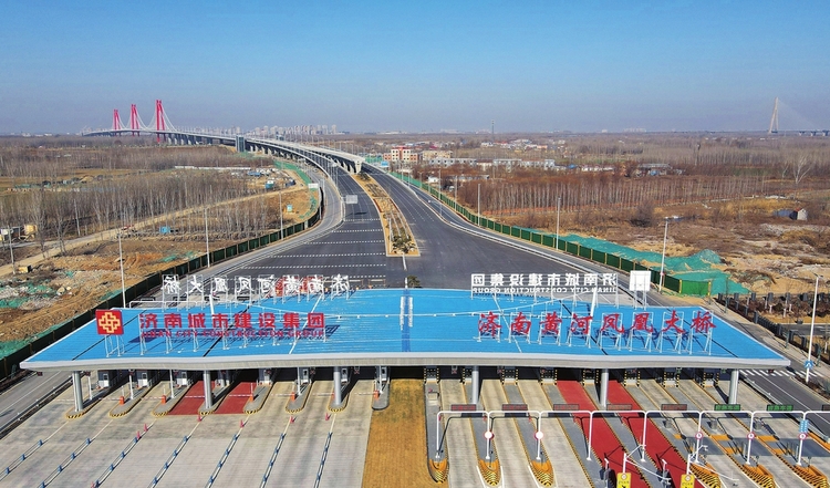大河之上 “凤凰”腾飞 济南黄河凤凰大桥建成通车