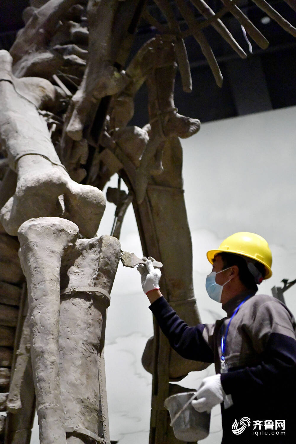 恐龙里的“山东大汉”！巨型山东龙11年后重现省博 山东博物馆两大新展即将上演