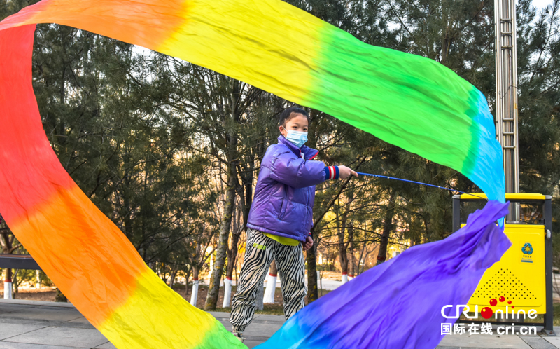 （原创）石家庄市柏林公园：“彩带龙飞”凌空舞 健康运动欢乐多_fororder_图片3