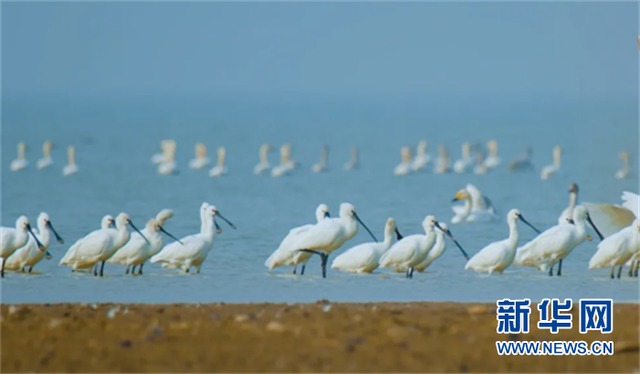 湖北再添3個國家級濕地公園 總數位列全國第三