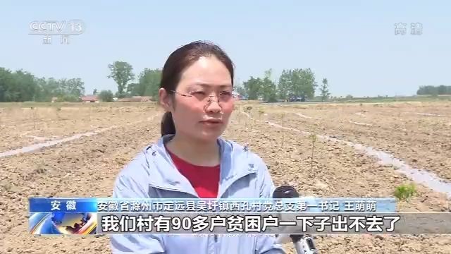 图片默认标题_fororder_wangmengmeng1