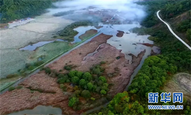 湖北再添3個國家級濕地公園 總數位列全國第三