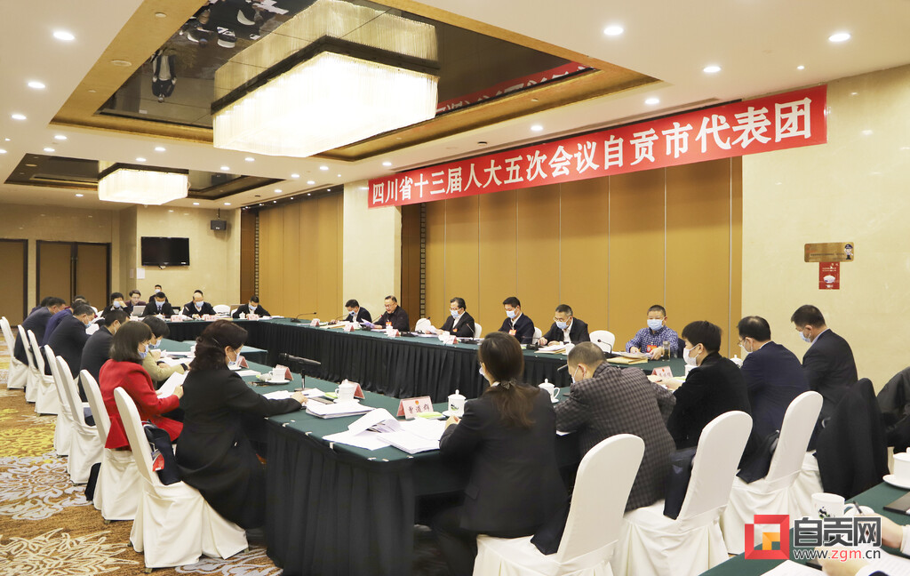 （转载）省十三届人大五次会议自贡代表团举行全体会议 审议省人大常委会工作报告 推选监票人 酝酿有关名单草案 范波曾洪扬谭豹等参加审议