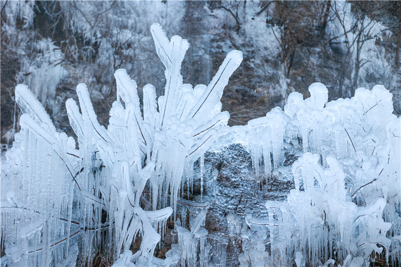 大寒時節迎降雪 河南雲臺山雪景霧凇美若仙境_fororder_微信圖片_20220121094437