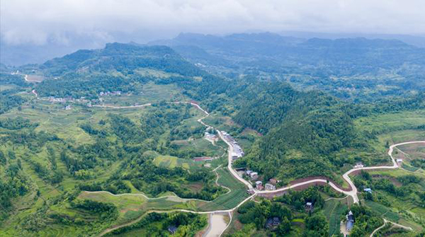 达州市开江县龙形山村村民陆伦生用责任和担当铺就乡村致富路