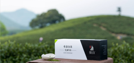 《谢天谢地谢谢您》助力极白安吉白茶唱响天下