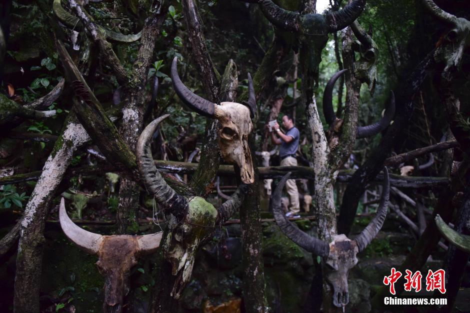 探秘云南西盟佤族圣地“龙摩爷”