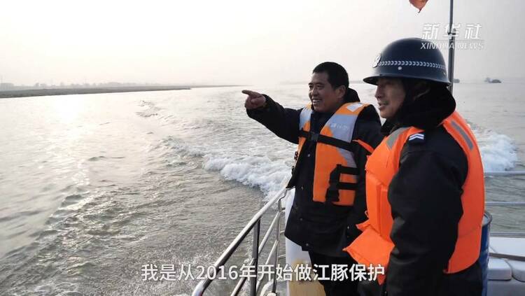 新春走基層·巡江記 | 這152公里的長江岸線藏著怎樣的生態密碼？