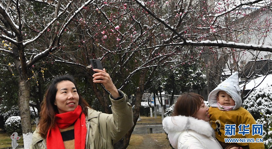 湖北保康：雪後梅花美如畫