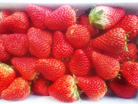 惠农聚宝：延伸产业链 整合产业资源 提升价值链