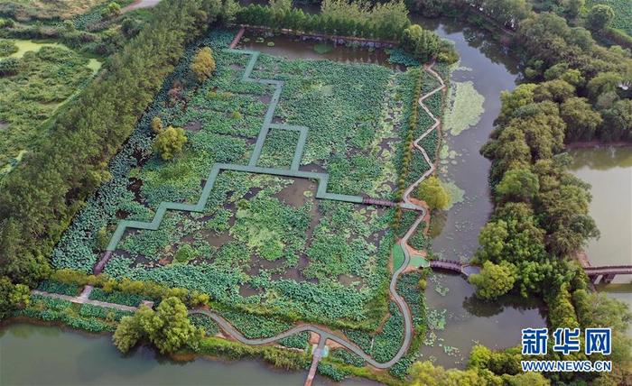 图片默认标题_fororder_CqgNOl0-TGiAcYNSAAAAAAAAAAA332.899x549