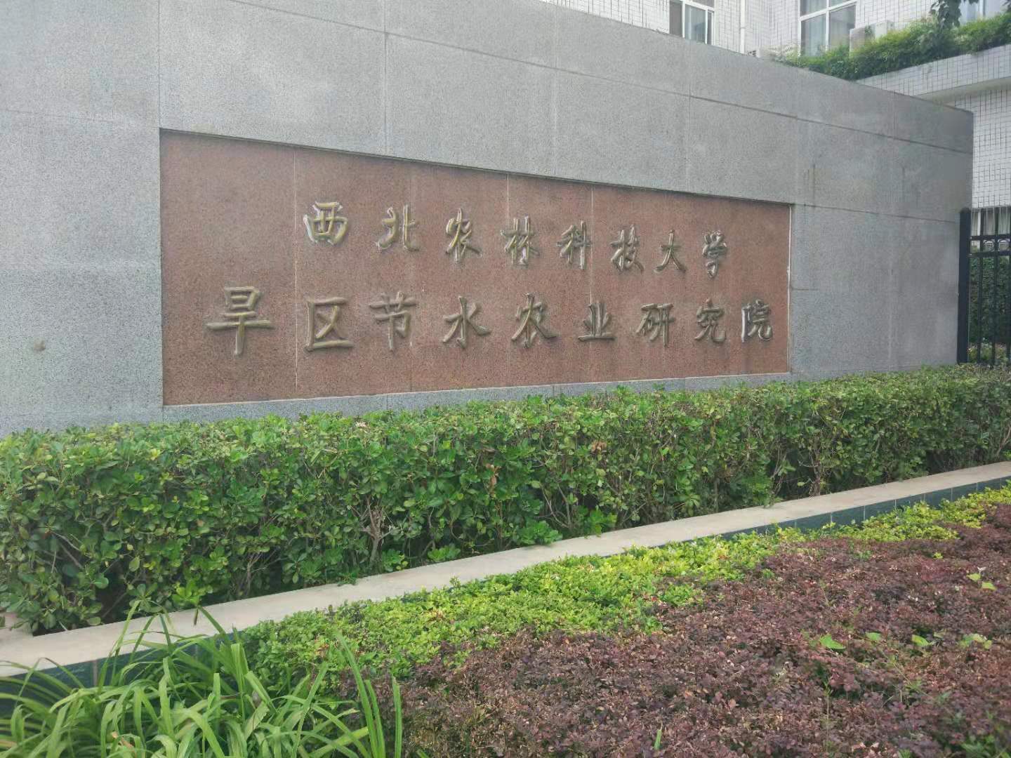 图片默认标题_fororder_f40b1489fd88fdcbd2f0d950d1d7f79