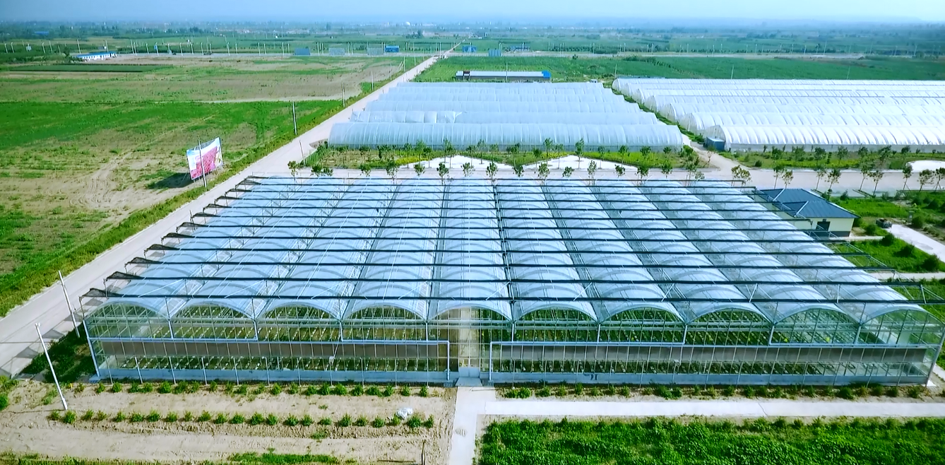 图片默认标题_fororder_531dc32a324ea7bfe596dc9f7a9d156