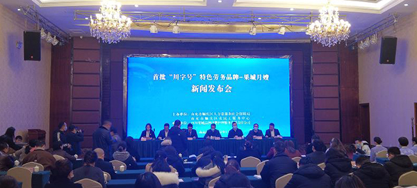 南充顺庆：打造特色劳务品牌 “果城月嫂”走向全国市场_fororder_新闻发布会现场--摄影--黎涛