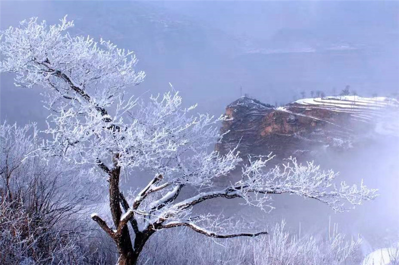 安阳林州：太行雪景美如画_fororder_微信图片_20220124150101