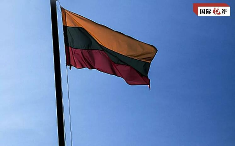 එකම චීනය ප්‍රතිපත්තියට එරෙහි වූ ලිතුවේනියාවේ දෙස් විදෙස් ව්‍යවසායන්හි ප්‍රබල කඩාවැටීමක්_fororder_微信图片_20220124200108
