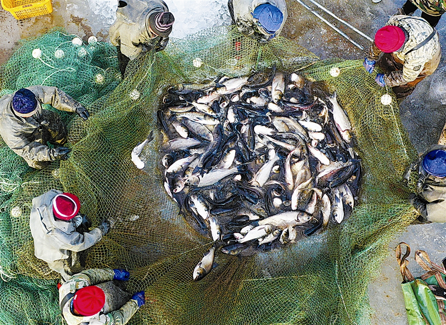 大连大盛水库冬捕忙_fororder_1