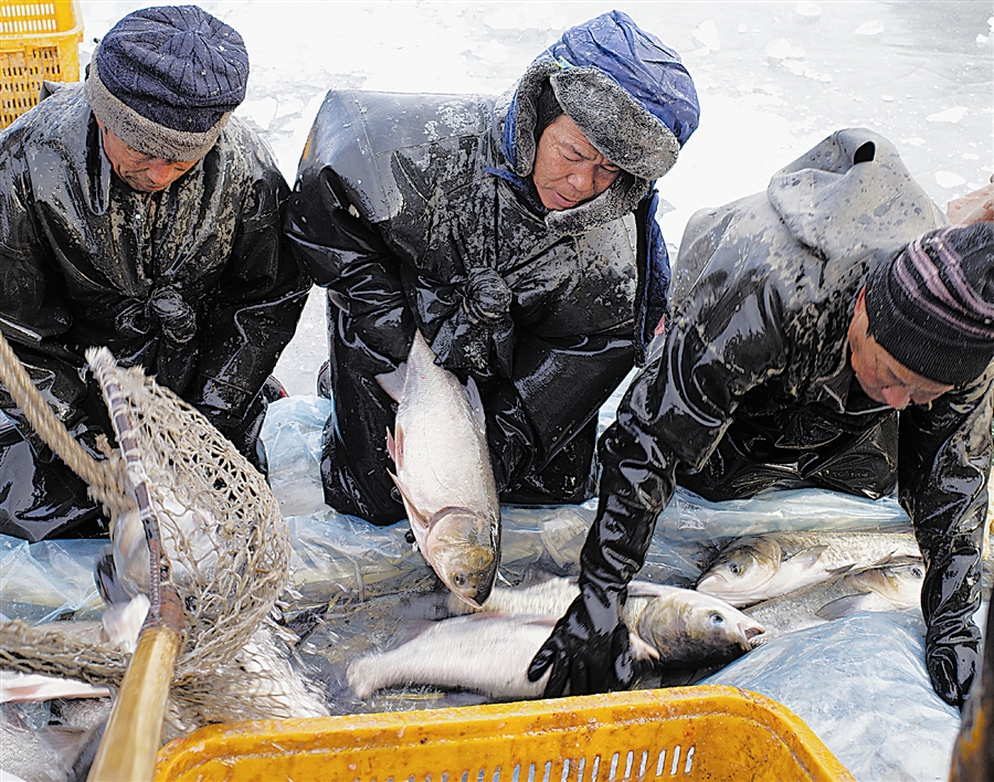 大连大盛水库冬捕忙_fororder_3