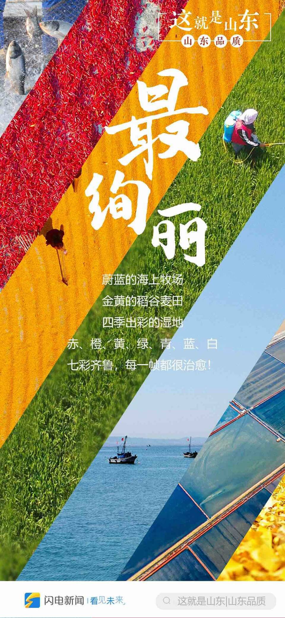 闪电海报｜这就是山东品质