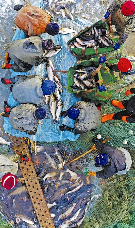 大连大盛水库冬捕忙_fororder_6