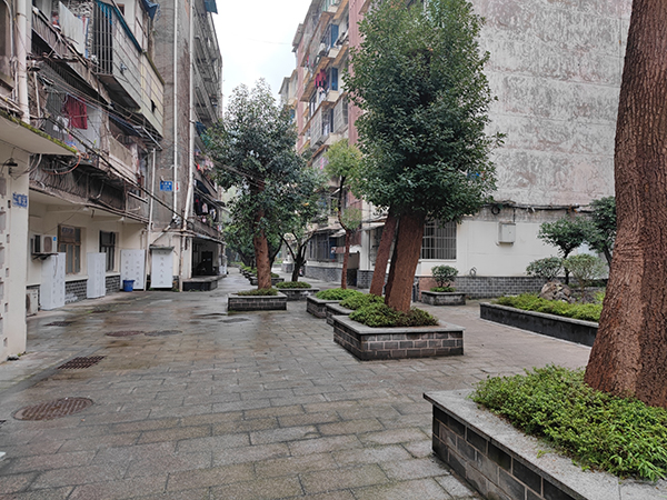 宜宾翠屏区：老旧小区绽新颜 “老”居民享受“新”生活_fororder_改造后的真武路223号小区-供图-翠屏区委宣传部