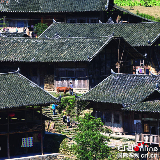 已过审【行游巴渝　标题摘要】年味渐浓 重庆推59条冬季醉美乡村精品线路