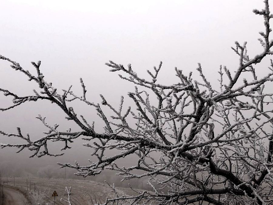 【焦点图轮播图】甘肃兰州榆中北山出现罕见冰雾_fororder_LOCAL202201221324000419520328823