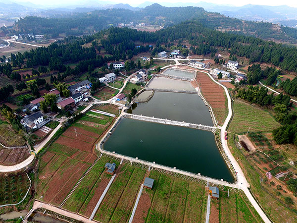 南充嘉陵区塘湾村：谋求致富奔康新路子 增强自主“造血”功能_fororder_堰塘新貌----嘉陵区塘湾村村委会供图