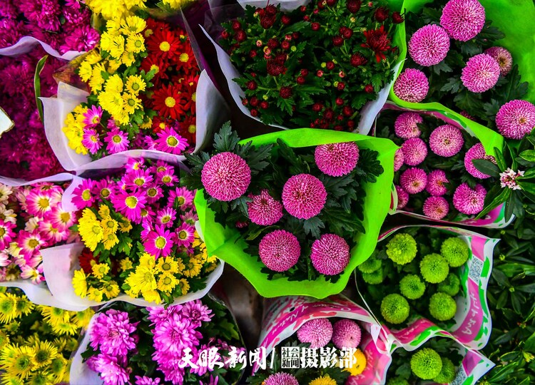 （中首）貴陽：花卉市場春意鬧 姹紫嫣紅迎新年