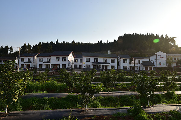 南充嘉陵区塘湾村：谋求致富奔康新路子 增强自主“造血”功能_fororder_新村聚居点--嘉陵区塘湾村村委会供图