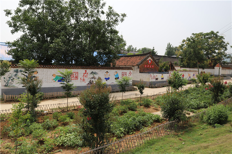 【B】平顶山市鲁山县杨李沟村：环境宜居气象新 产业兴旺红旗扬